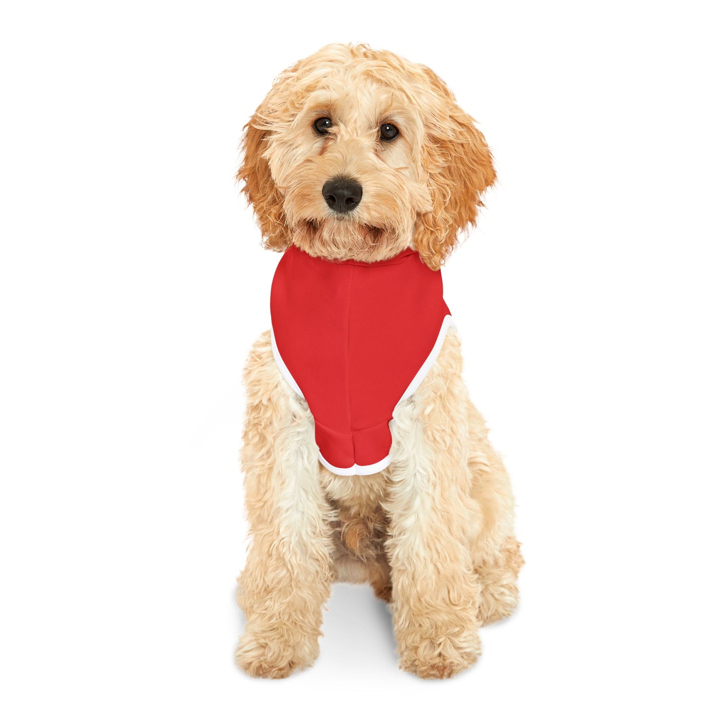 Casa Leyendas Pet Hoodie — Gold Crest Dog & Cat Hoodie (Red)