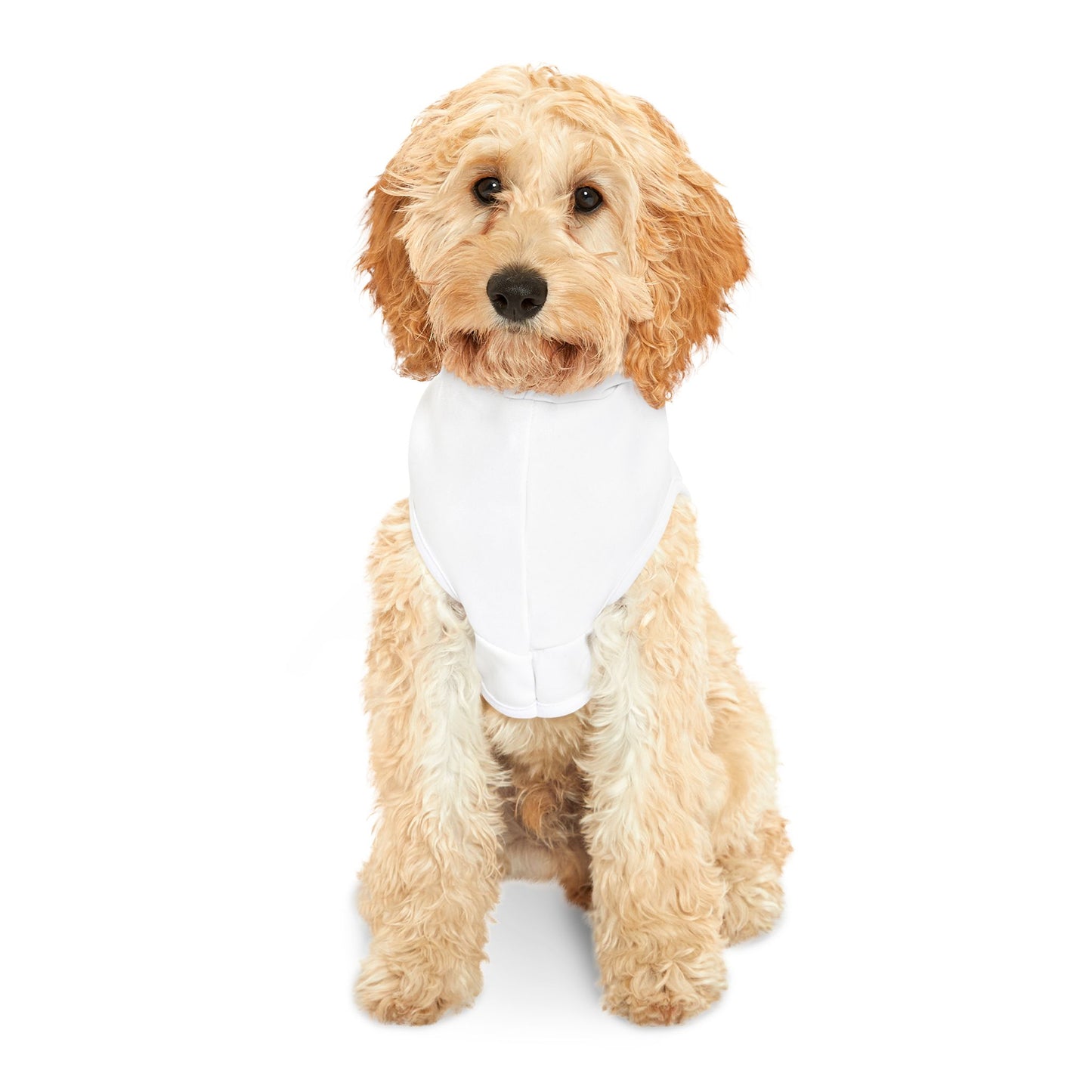 Casa Leyendas Pet Hoodie — Gold Crest Dog & Cat Hoodie (White)