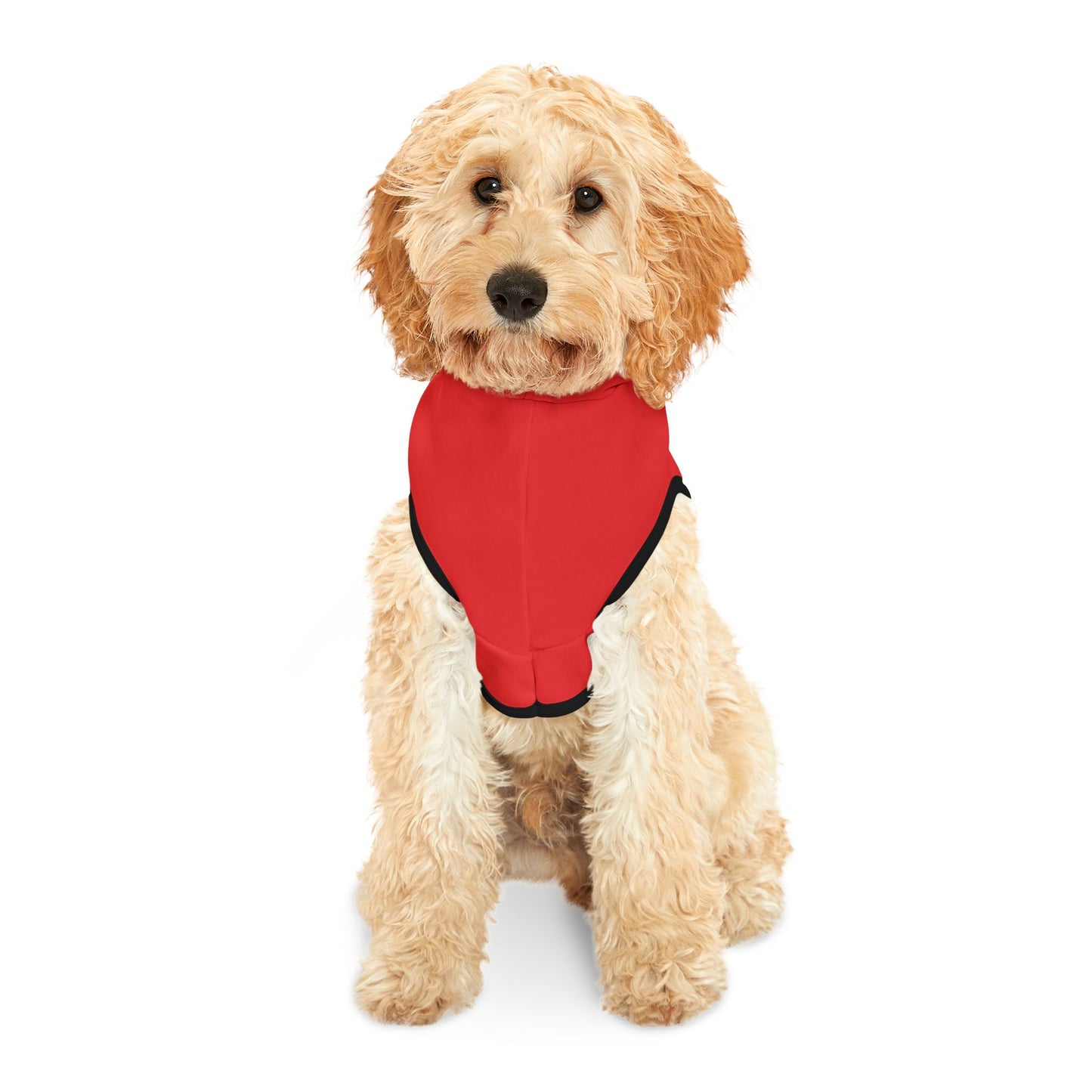 Casa Leyendas Pet Hoodie — Gold Crest Dog & Cat Hoodie (Red)